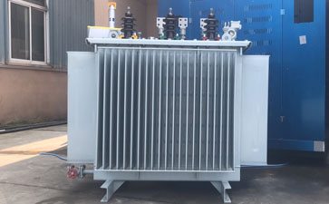 湘潭S11-800KVA油浸式变压器